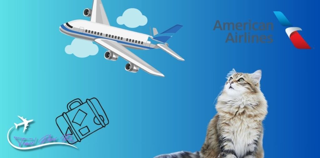 American Airlines - 5 Best Paw-friendly Airlines