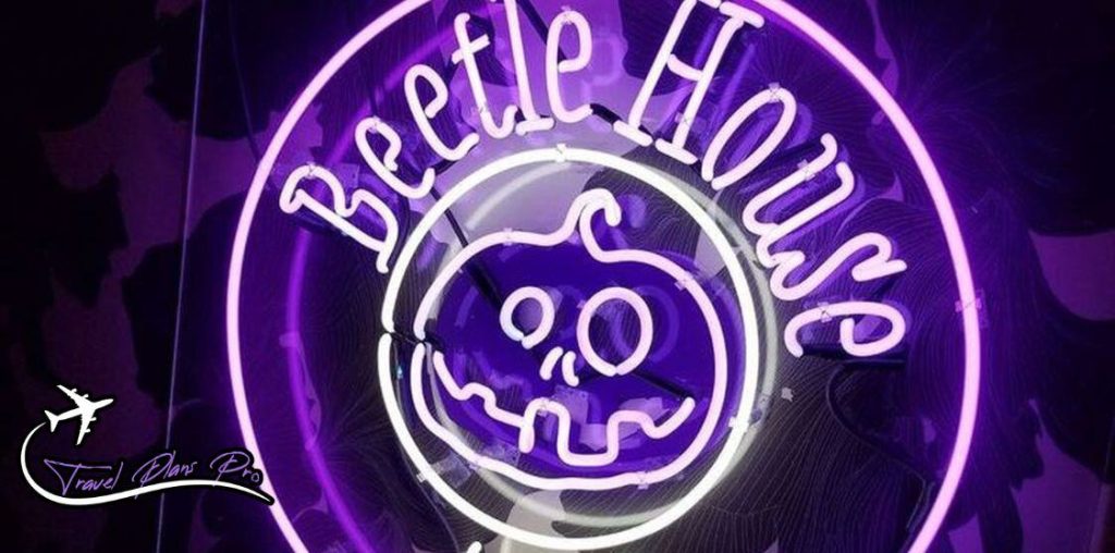 Beetle House 