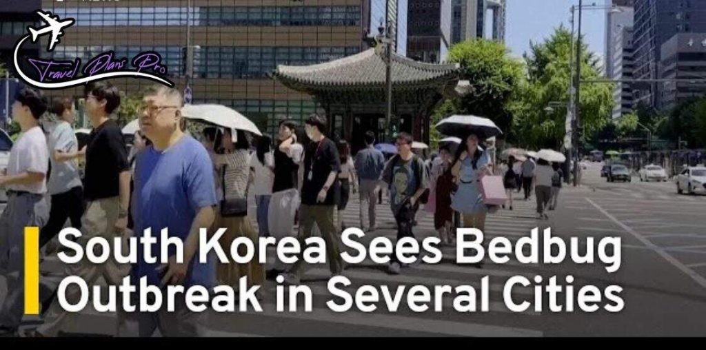 Bedbug Infestation in South Korea 