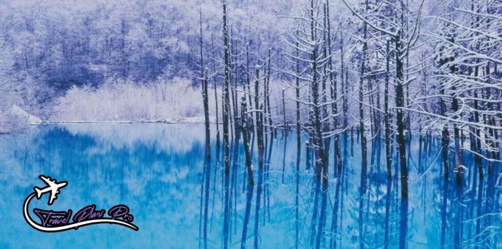 The Blue Pond, Biei, Hokkaido