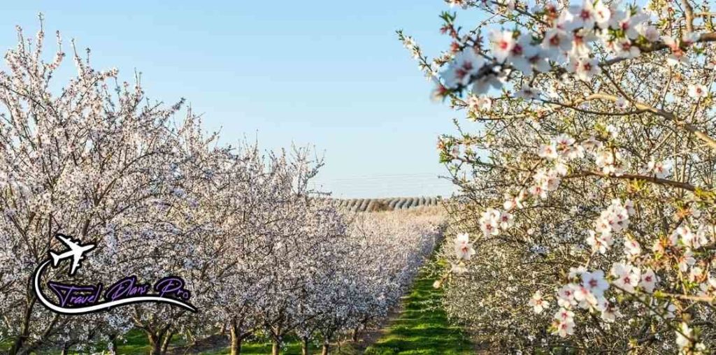 Modesto, California - Best Places to Travel in March 
