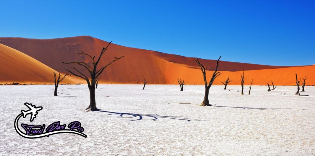 Namibia - Best Places to Travel in March
